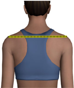 shoulder to shoulder measurement