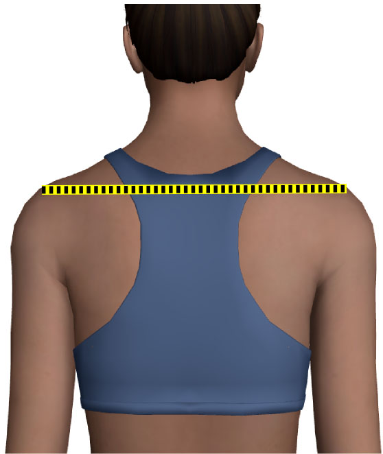 shoulder to shoulder measurement